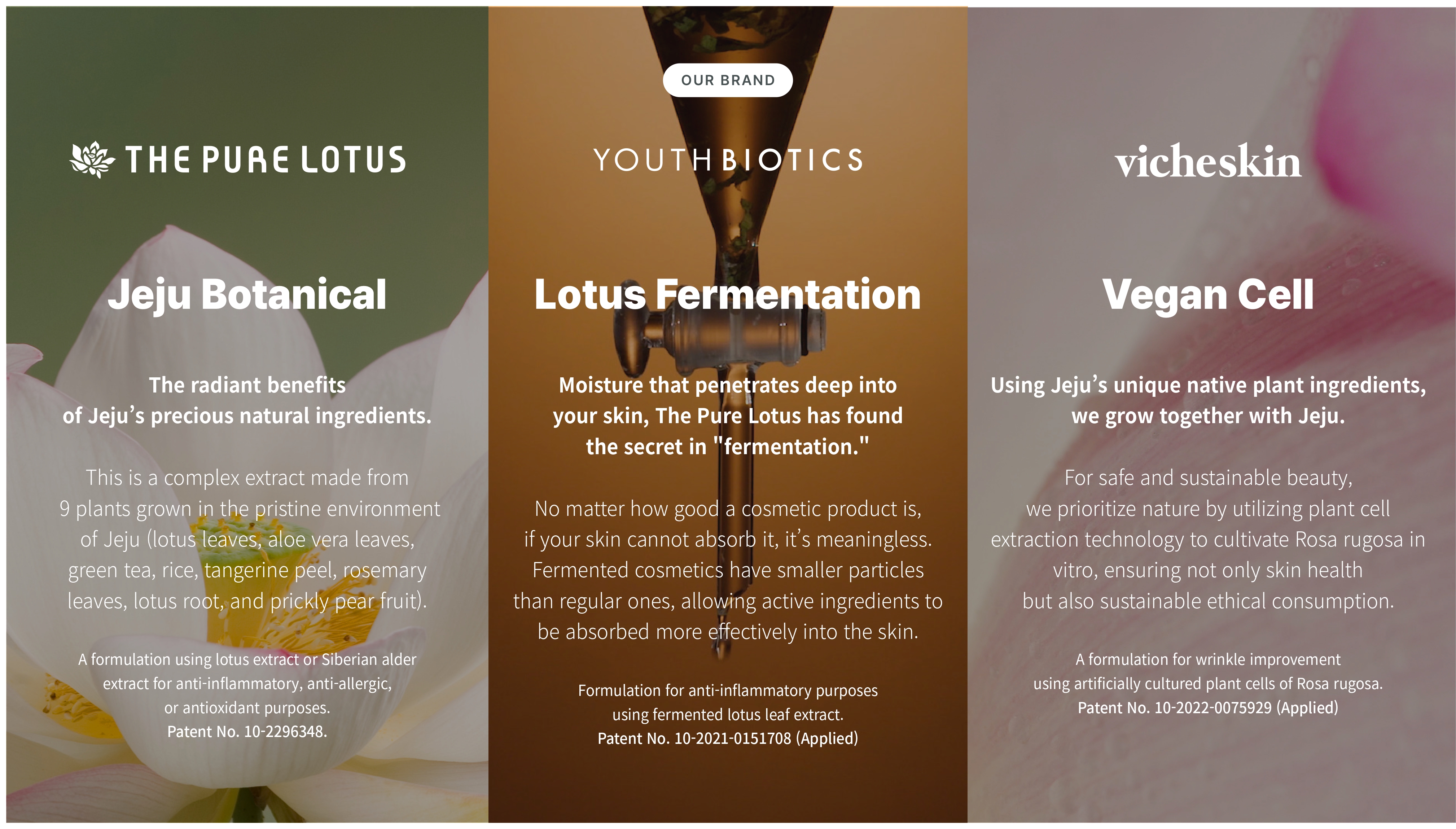 LOTUS
